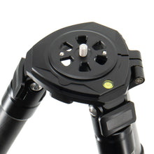 Warrior Tripods the Warrior